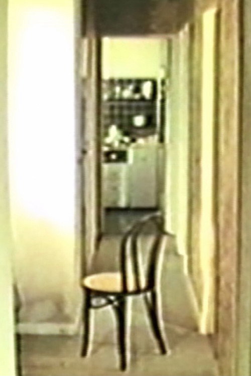 Chaise Plus Poster