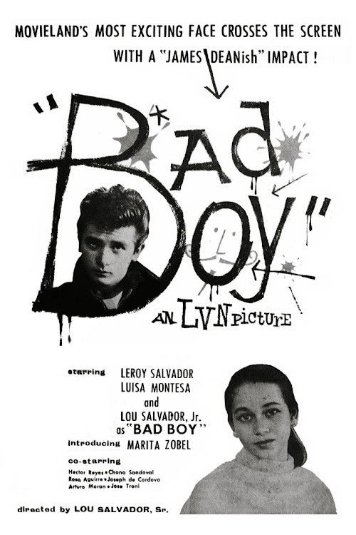 Bad Boy Poster