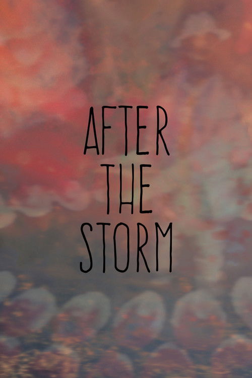 After the Storm Poster