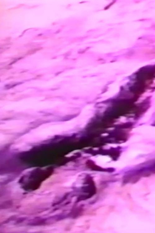 Filmworks, August 1980 (La Ventosa and San Felipe, Mexico) Poster