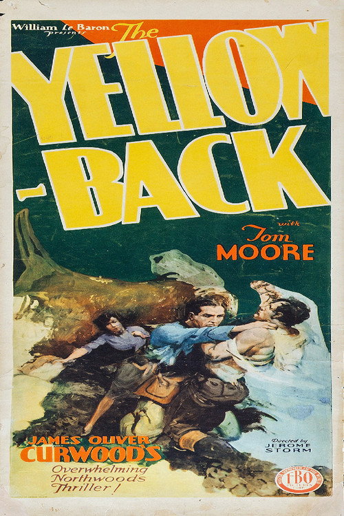 The Yellowback Poster