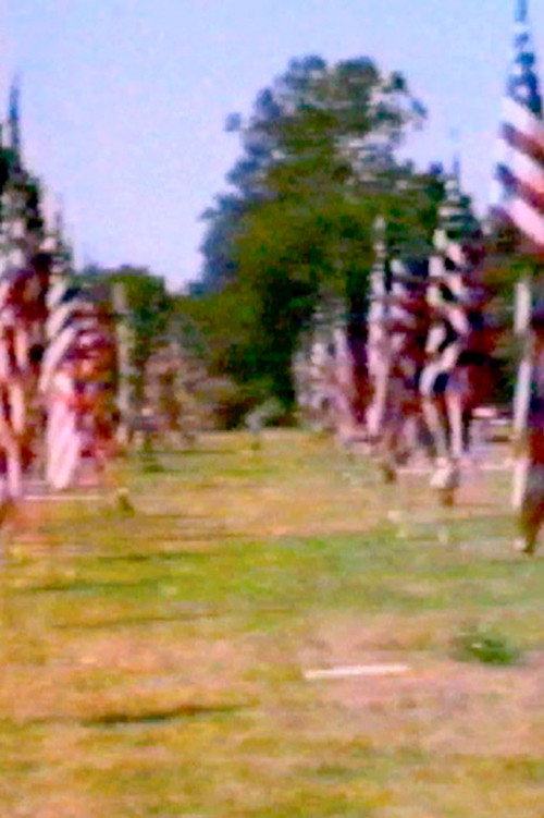 Towards Intuition: An American Landscape Poster