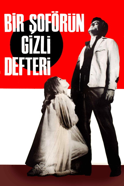 Bir Şoförün Gizli Defteri Poster