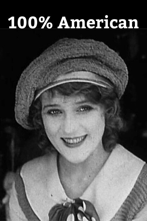 100% American Poster