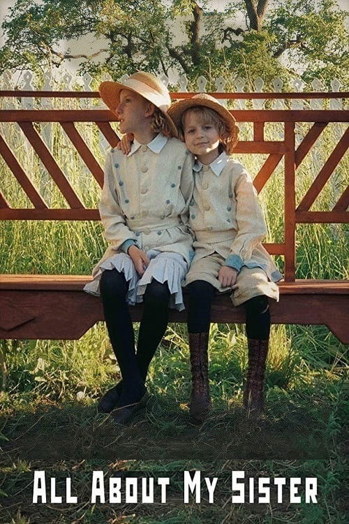 All About My Sister Poster