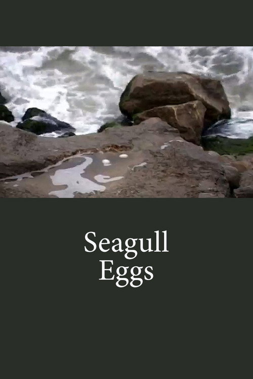 Seagull Eggs Poster