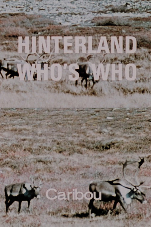 Hinterland Who's Who: Caribou Poster