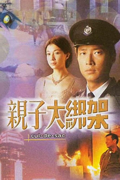 親子大綁架 Poster