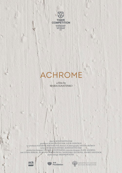 Achrome Poster