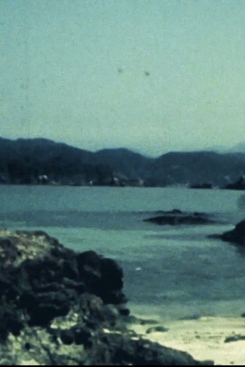 Forbidden Colors Poster