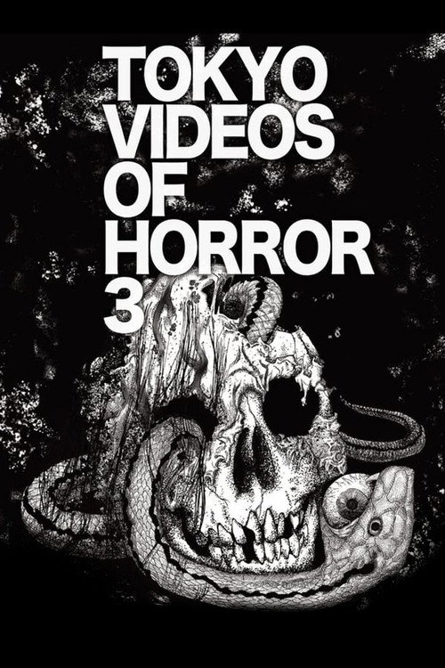 Tokyo Videos of Horror 3 Poster
