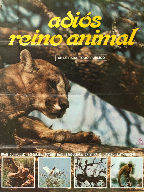 Adiós reino animal Poster