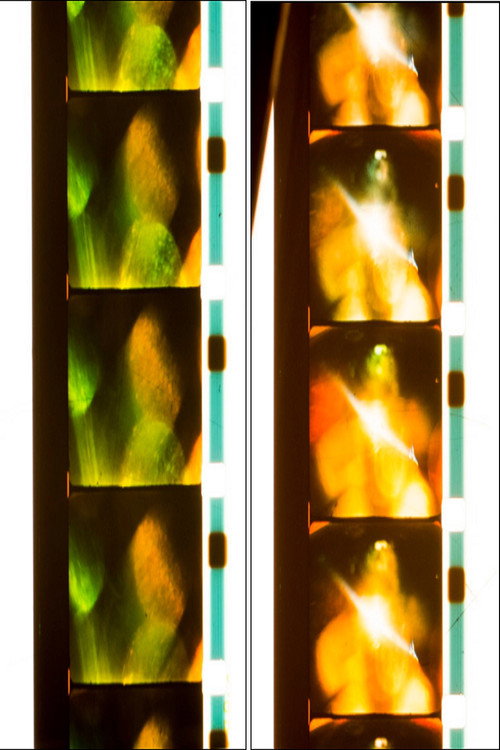 Quick Billy: Six Rolls; 14/41/43/46/47/52 Poster