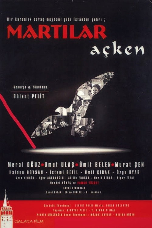 Martılar Açken Poster