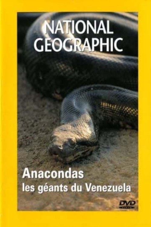 National Geographic : Anacondas, les géants du Vénézuela Poster