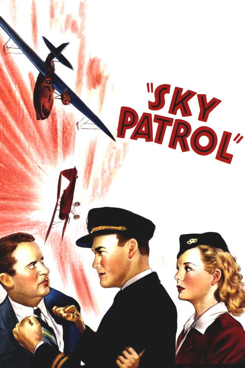 Sky Patrol Poster
