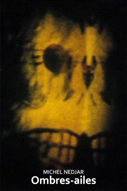 Ombres-ailes Poster