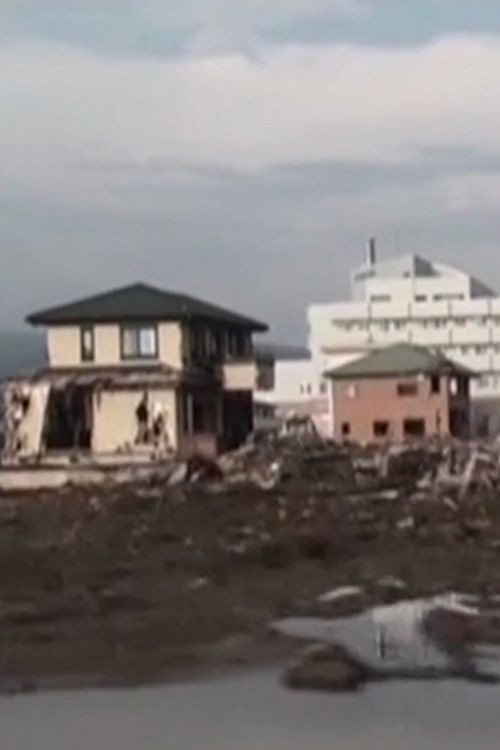 Toro Axe Part 3: All Things Change Poster