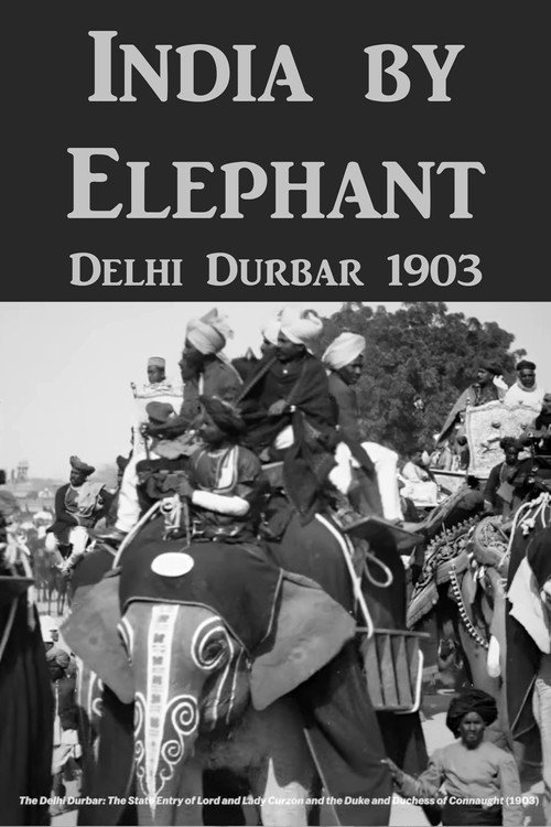 India by Elephant: Delhi Durbar Poster