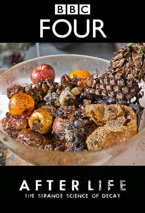 After Life: The Strange Science of Decay Poster