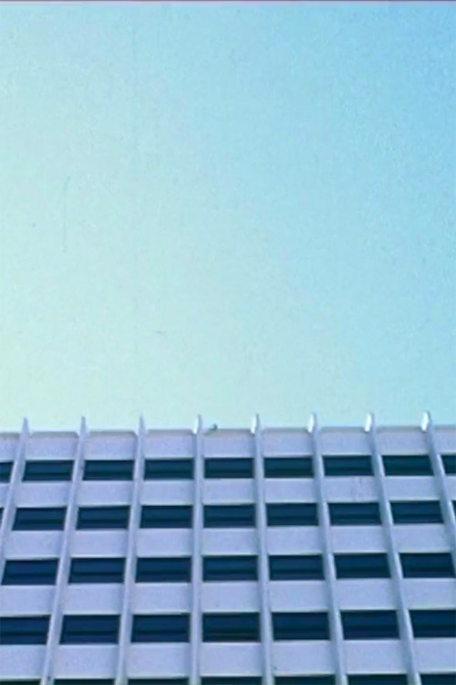 Descenso Poster