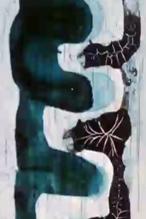 Impressions des Andes Poster