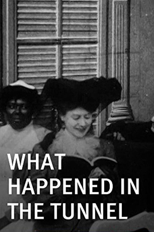 What Happened in the Tunnel Poster