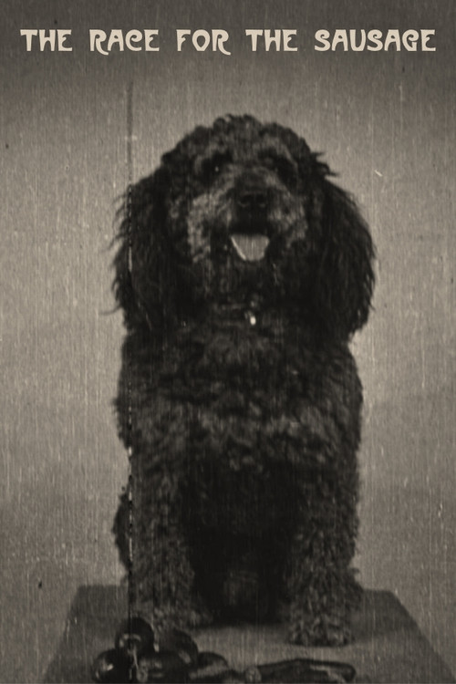 The Race for the Sausage Poster