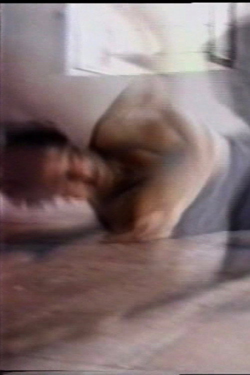 Horizontal Waltz for Right and Left Handcameras Poster