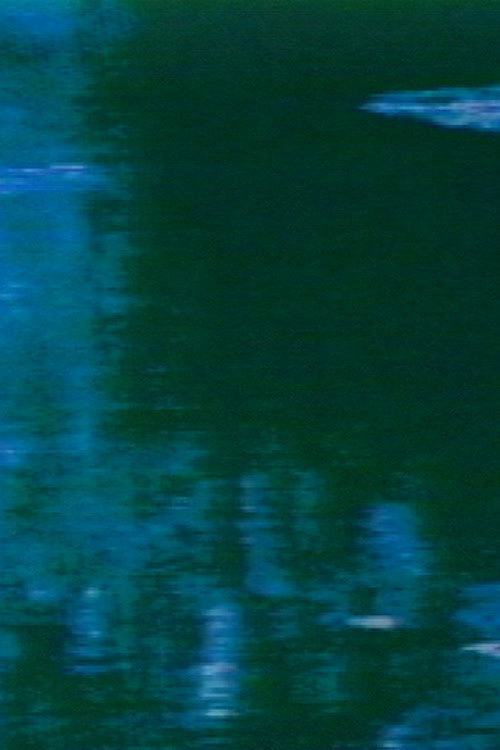 Monet Garden Synthesized Poster