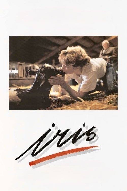 Iris Poster