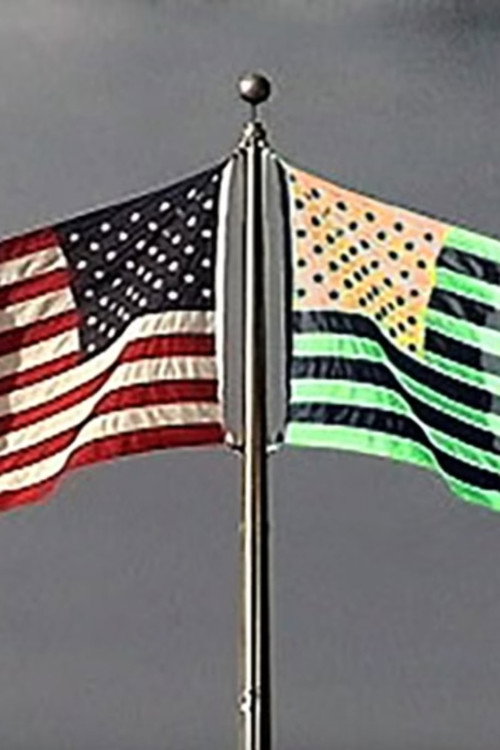 Flag and Its Shadow Poster