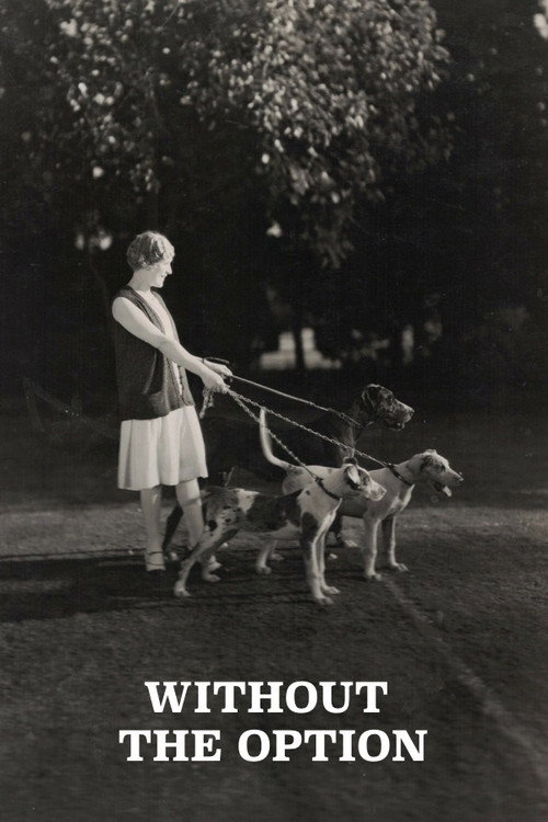 Without the Option Poster