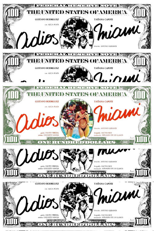 Adiós, Miami Poster