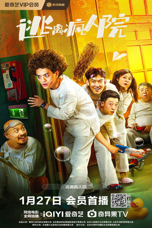 Escaping The Madhouse Poster