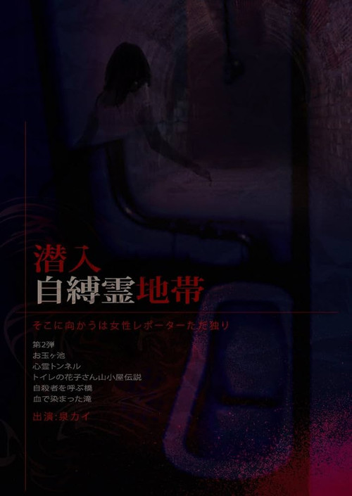 Infiltration: The Haunted Zone - A Female Reporter Goes Alone. Poster