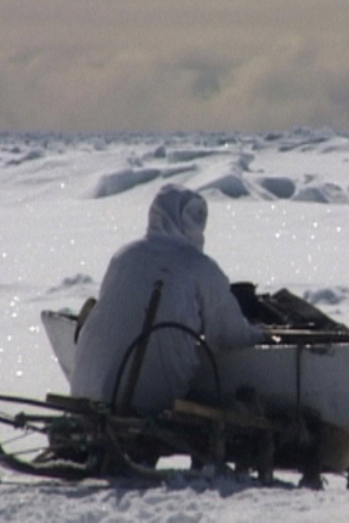 Seal Hunt Poster