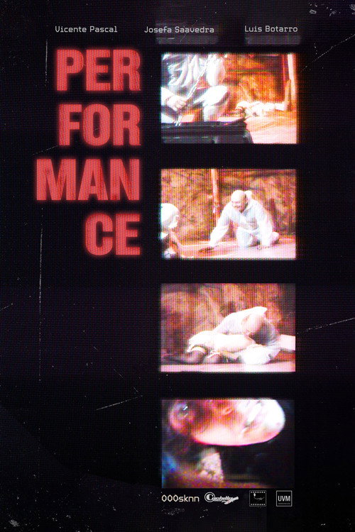 Performance Poster