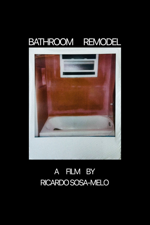 Bathroom Remodel Poster
