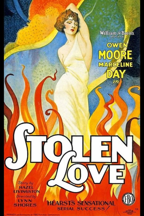 Stolen Love Poster