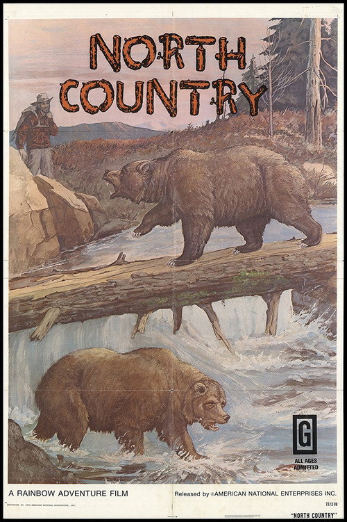 North Country Poster