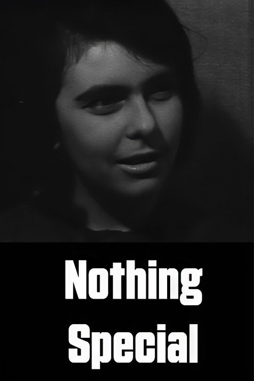 Nothing Special Poster