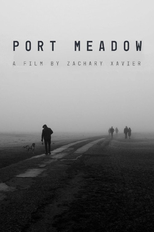 Port Meadow Poster