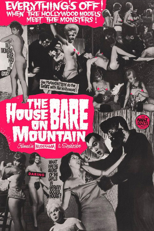 House on Bare Mountain Poster