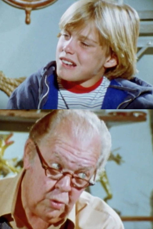 The Following Instructions Game Poster