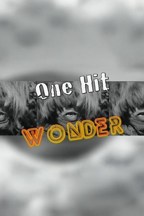 One Hit Wonder Poster