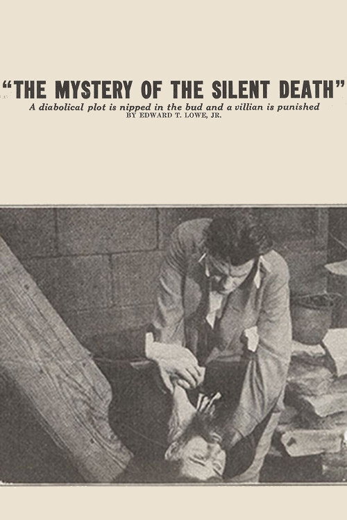 The Mystery of the Silent Death Poster