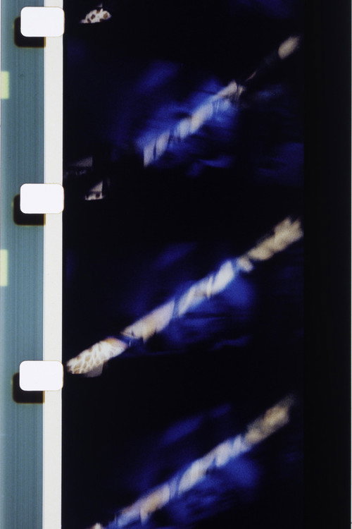 Couleurs délicieuses sur fond bleu Poster