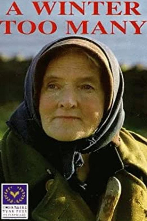 A Winter Too Many Poster