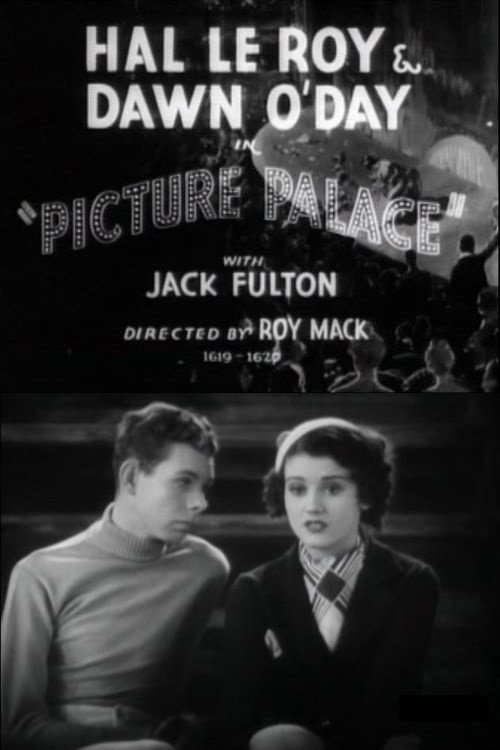 Picture Palace Poster